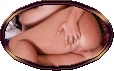 Голые пухлые тетки красуются на эротических фото